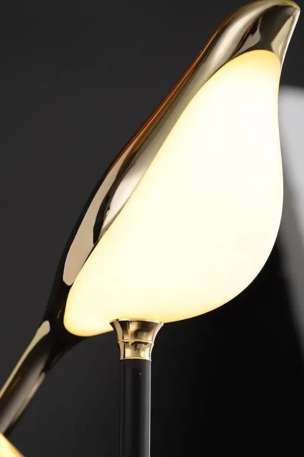 Nido Lamp